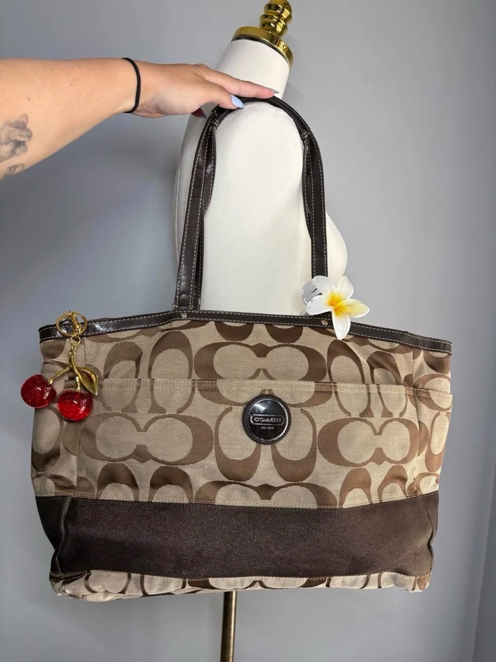 Coach Y2K Signature Canvas Tote Bag in Brown